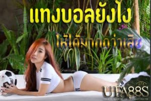 แทงบอลราคาดี